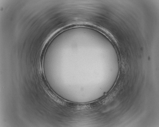 X0000078830887200611271254