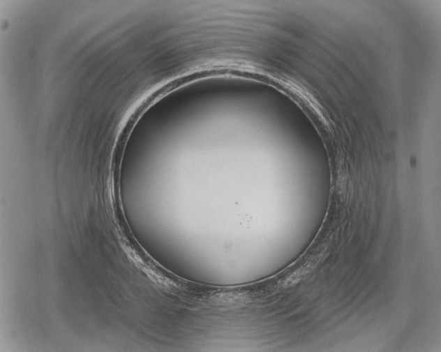 X0000078830888200611271254