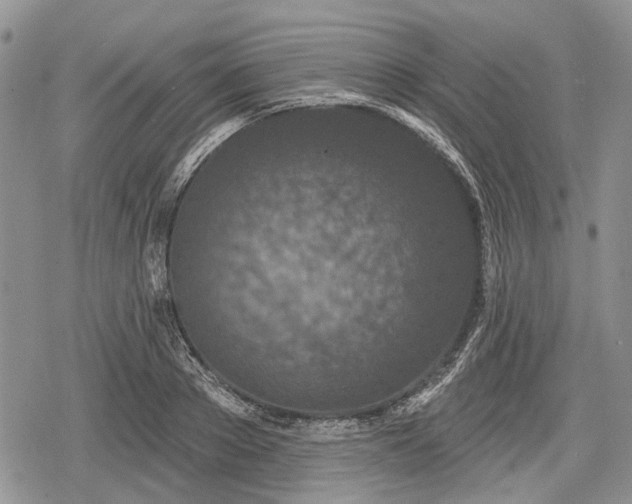 X0000078830889200611271254