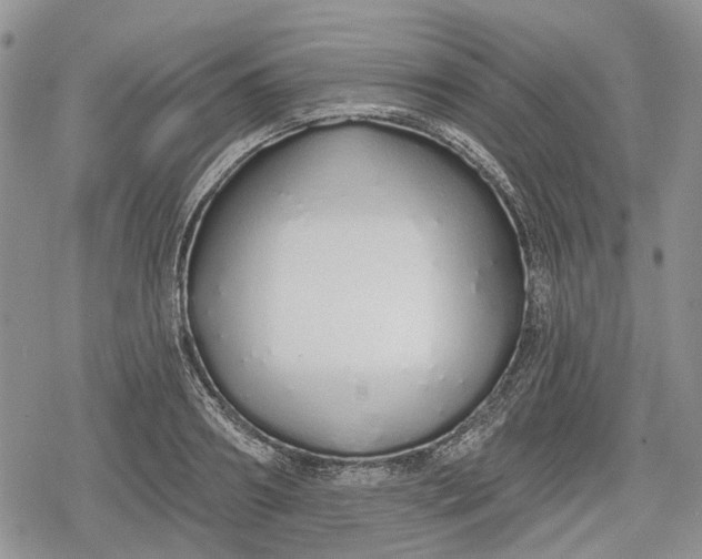 X0000078830890200611271254