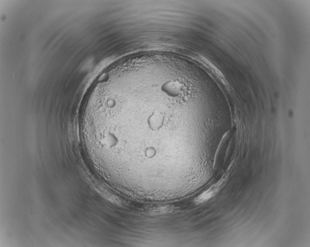 X0000078830891200611271254