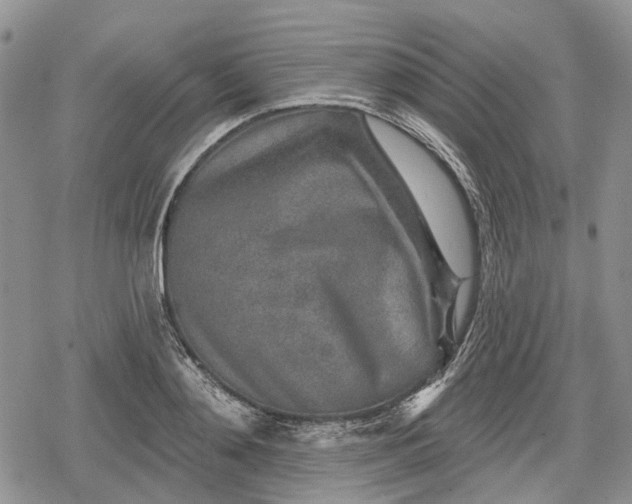 X0000078830892200611271254