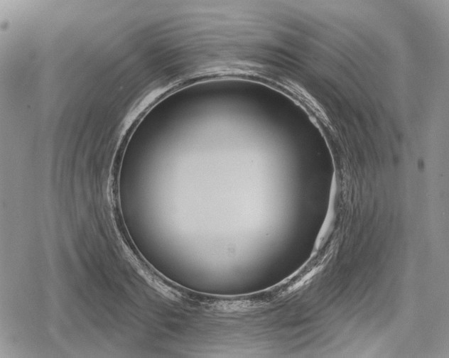 X0000078830893200611271254