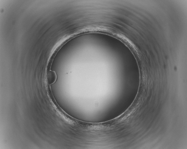 X0000078830894200611271254