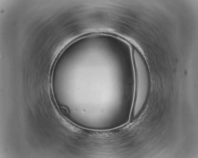 X0000078830895200611271254