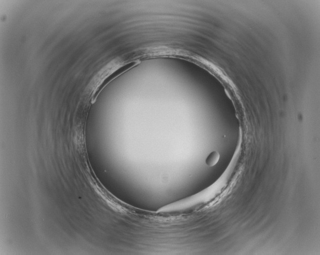 X0000078830897200611271254