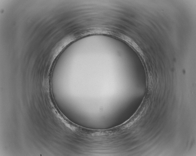 X0000078830898200611271254