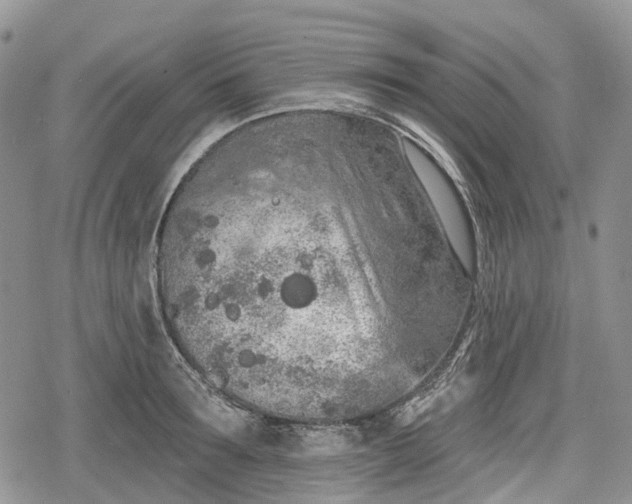 X0000078830899200611271254