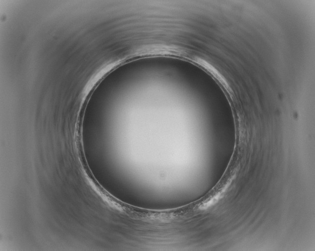 X0000078830901200611271254