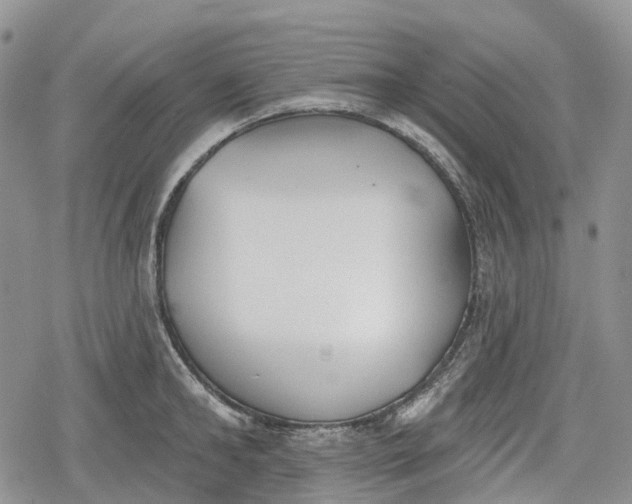 X0000078830902200611271254