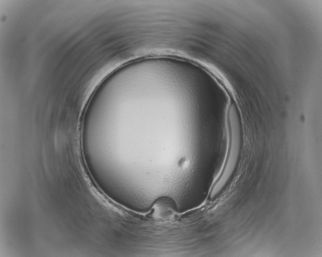 X0000078830903200611271254