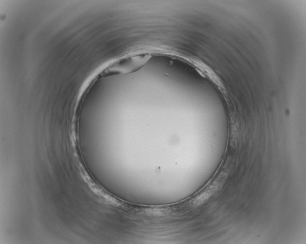 X0000078830904200611271254