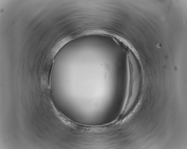 X0000078830905200611271254