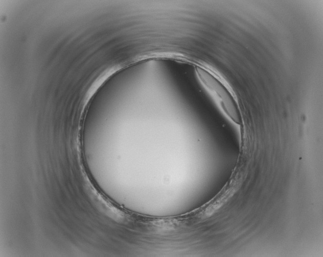 X0000078830906200611271254