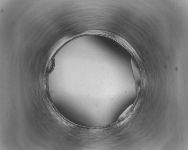 X0000078830908200611271254