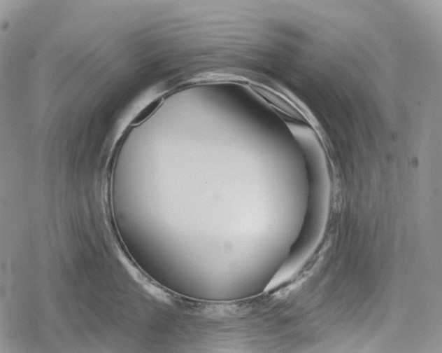 X0000078830909200611271254