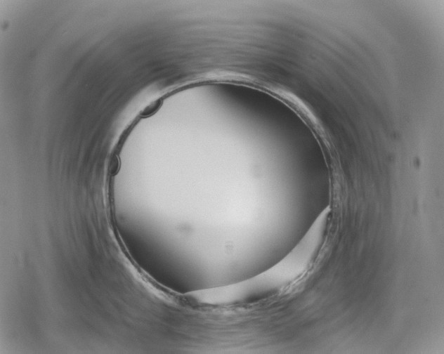 X0000078830910200611271254