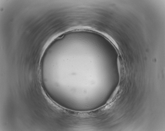 X0000078830911200611271254