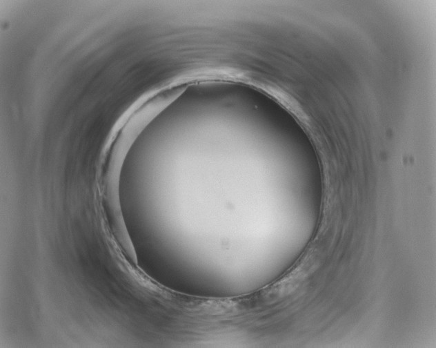 X0000078830912200611271254