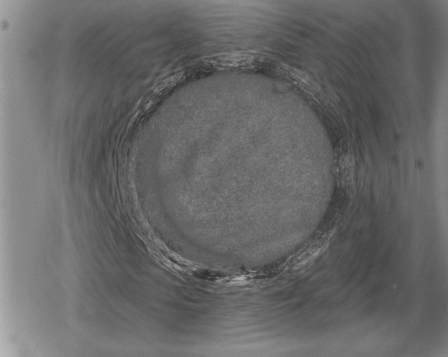 X0000078830913200611271253