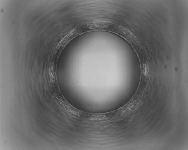 X0000078830915200611271253