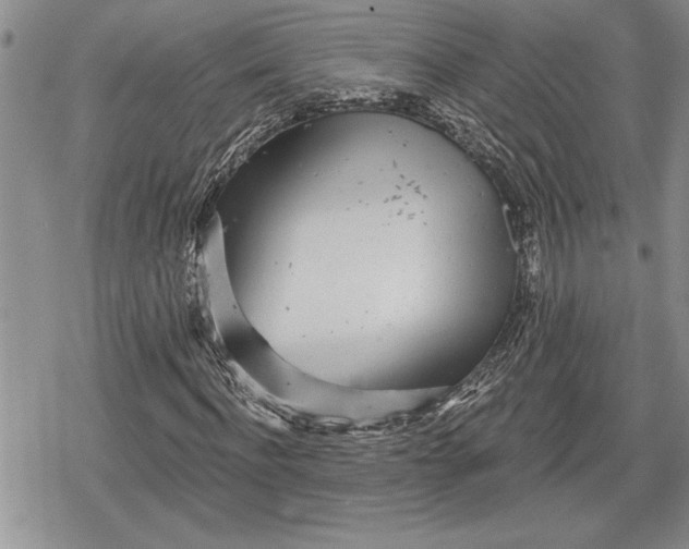 X0000078830916200611271253