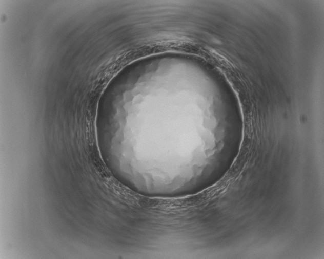 X0000078830917200611271253