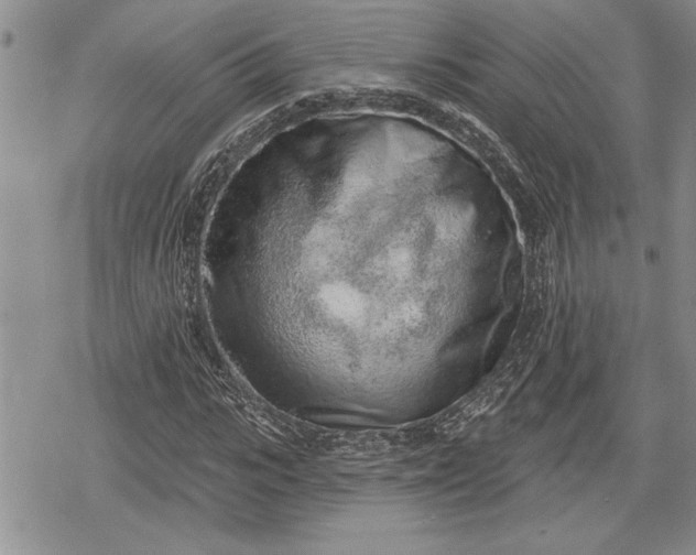 X0000078830919200611271253