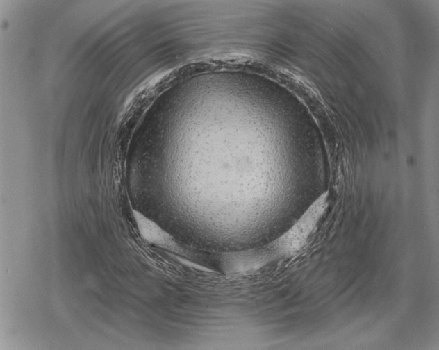 X0000078830920200611271253