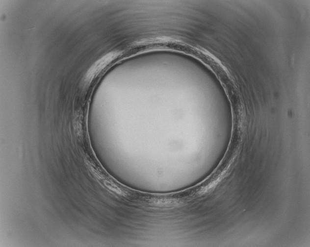 X0000078830921200611271253