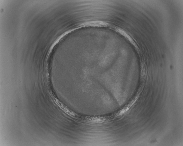 X0000078830923200611271253