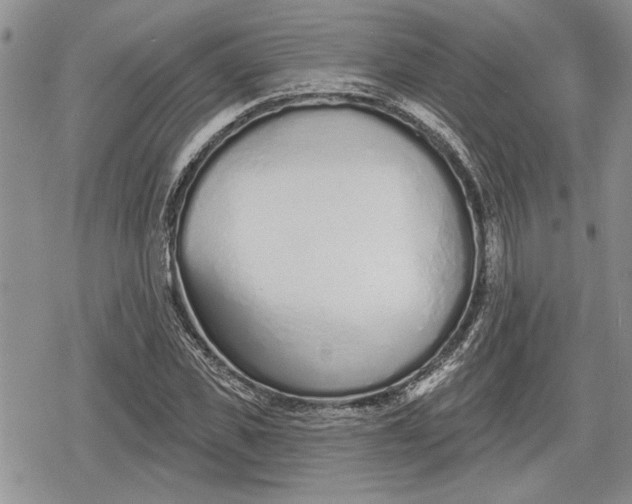 X0000078830925200611271253