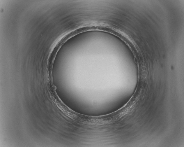 X0000078830927200611271253