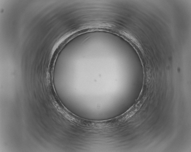 X0000078830928200611271253