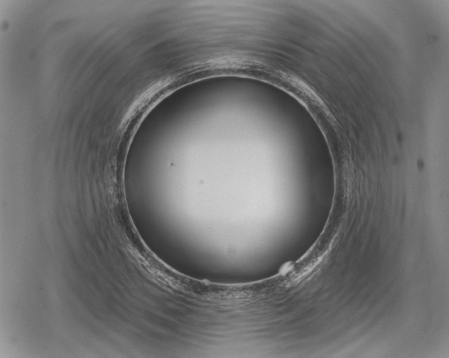 X0000078830930200611271253