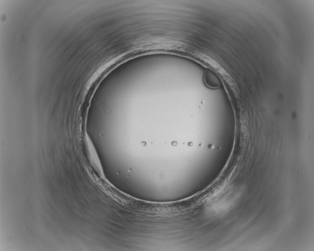 X0000078830933200611271253