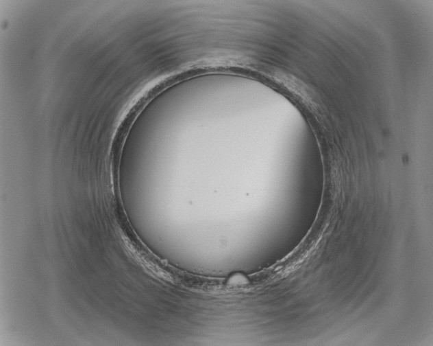 X0000078830934200611271253