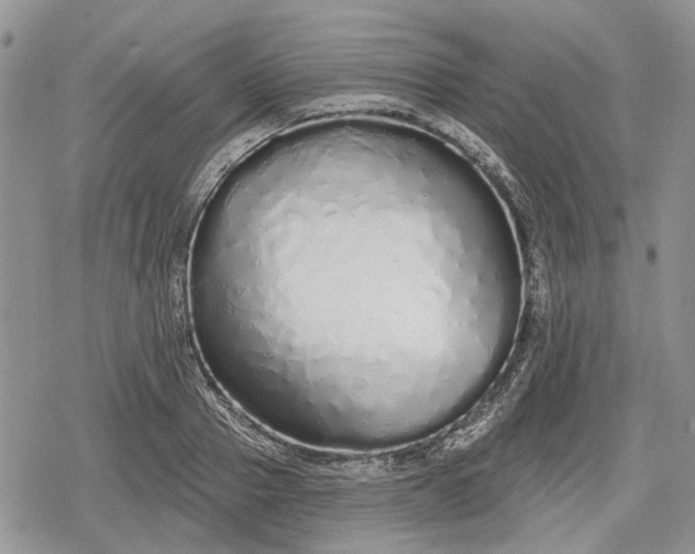 X0000078830937200611271253