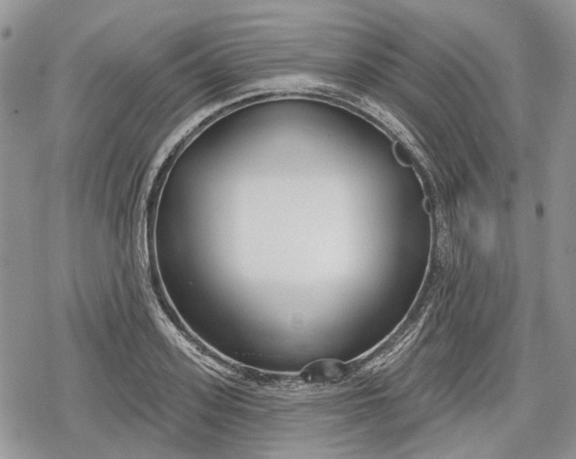 X0000078830939200611271253