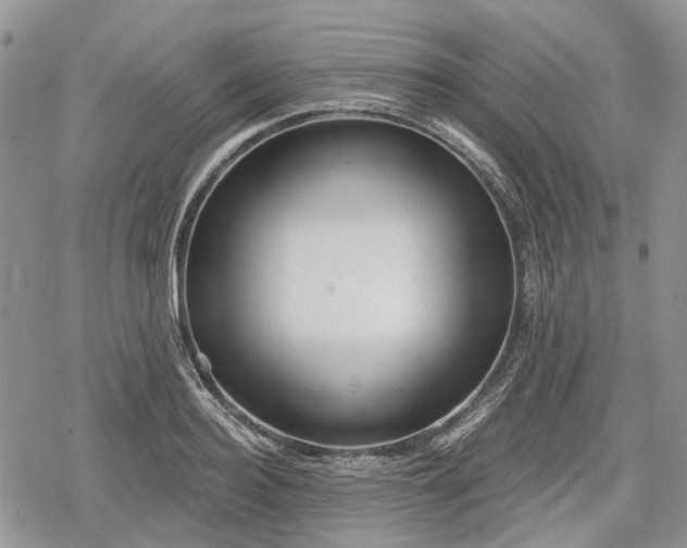 X0000078830940200611271253