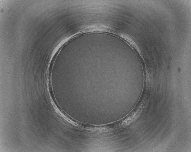 X0000078830941200611271253