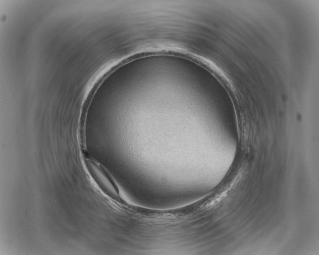 X0000078830943200611271253