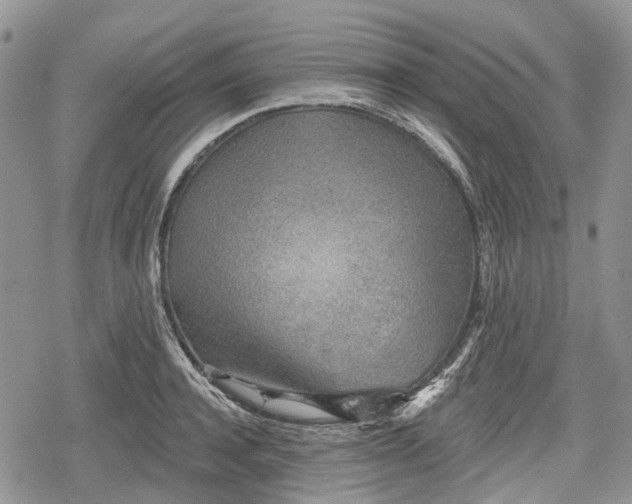 X0000078830944200611271253