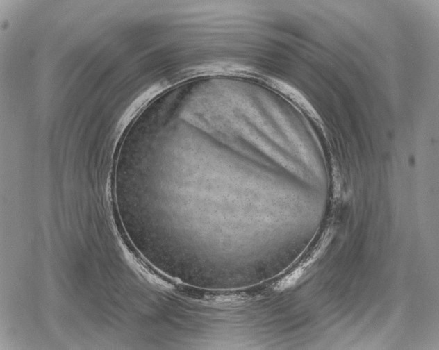 X0000078830946200611271253