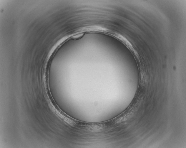 X0000078830947200611271253