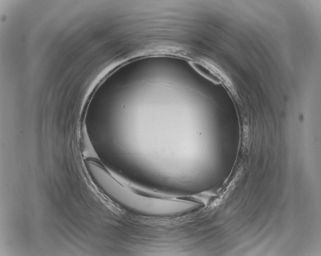 X0000078830948200611271253