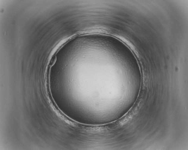 X0000078830949200611271253