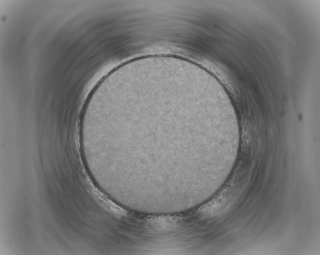 X0000078830950200611271253