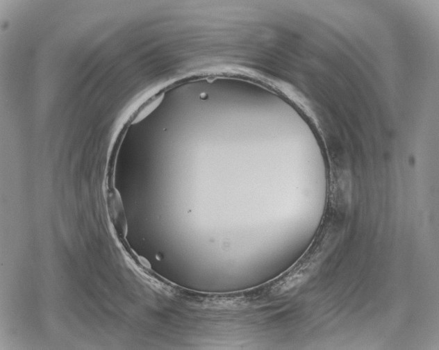 X0000078830951200611271254