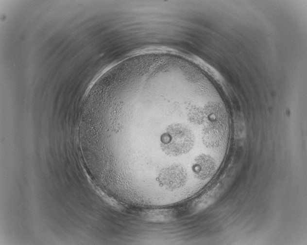 X0000078830953200611271254